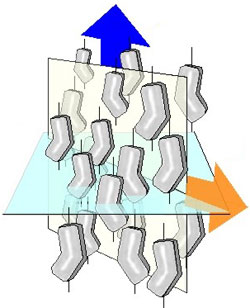 Diagram of bent Liquid Crystal molecule, as revealed through X-ray studies by Prof. Kumar