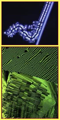 Images related to Liquid Crystal research by Prof. Kumar's group