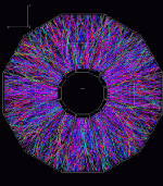 Gold-gold collision at the RHIC collider imaged with STAR detector