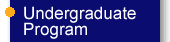 Undergraduate Program
